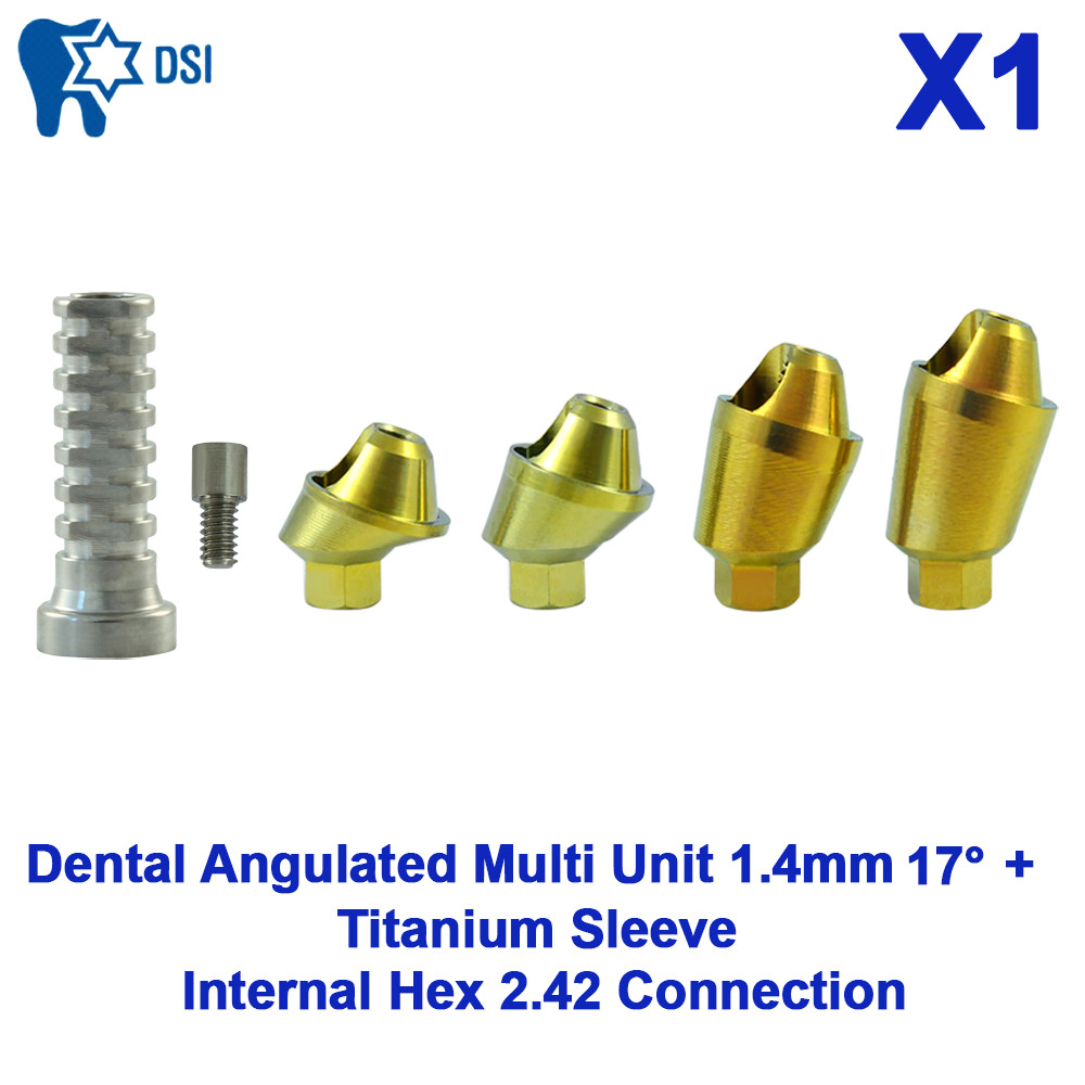 1x DSI Dental Angulated Multi Unit 1.4mm 17° Int Hex 2.42 Titanium Sleeve Set
