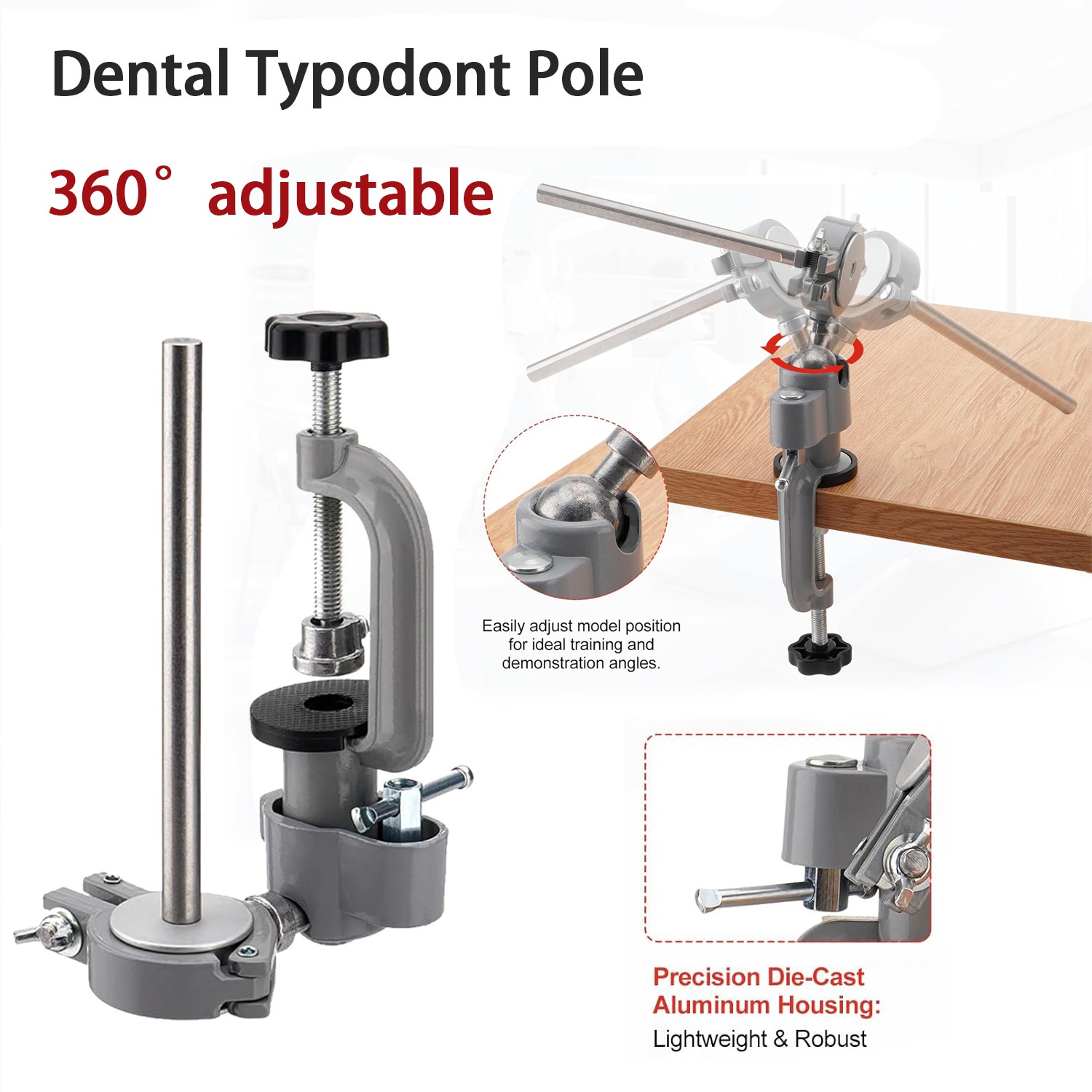 Dental Typodont Mounting Pole Teeth Model 360° Rotating not Teeth Model New
