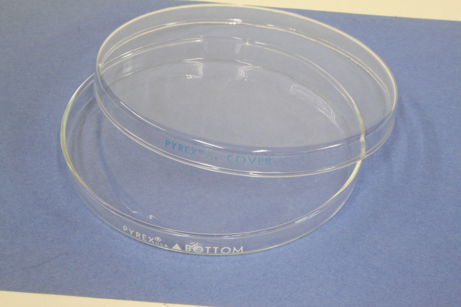 12pk Corning Pyrex Borosilicate Glass Petri Dishes 150x15mm with Covers 3160-150