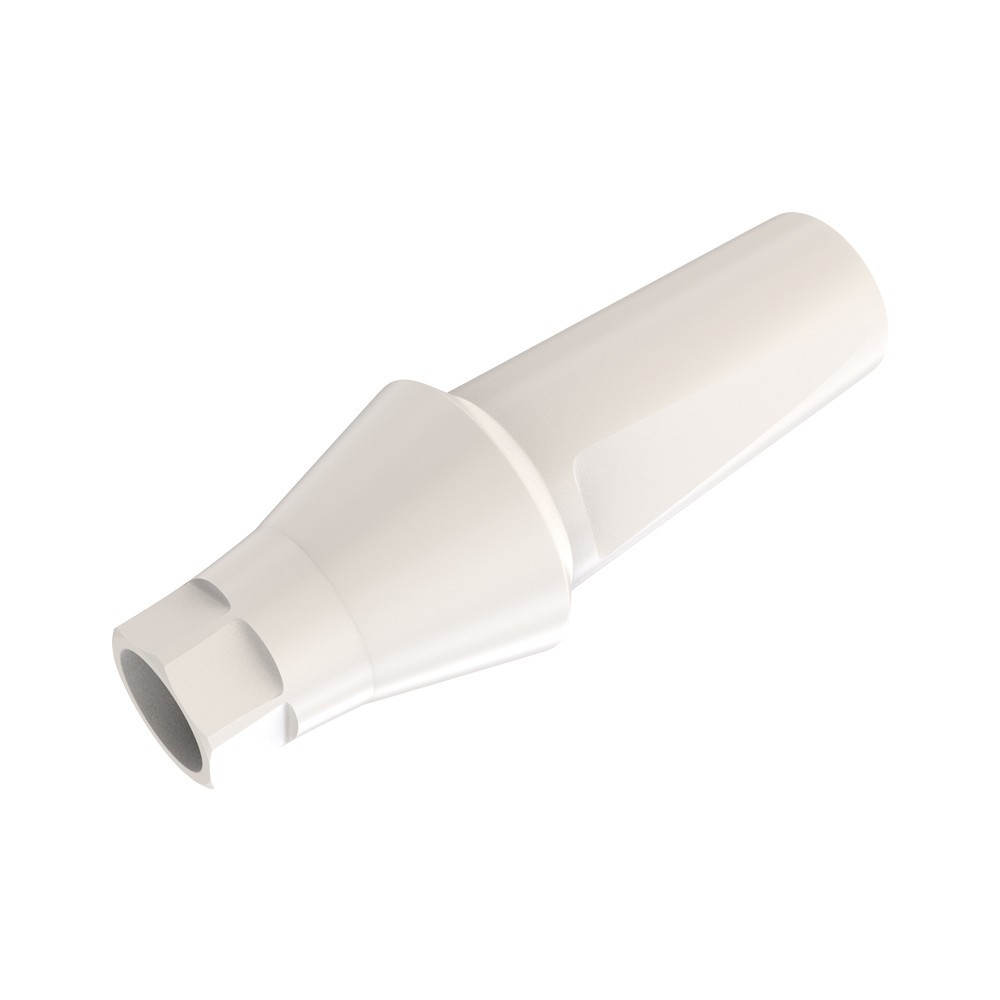 10pcs DSl Straight Abutments Anatomic Peek Conical Connection RP Dental Lab