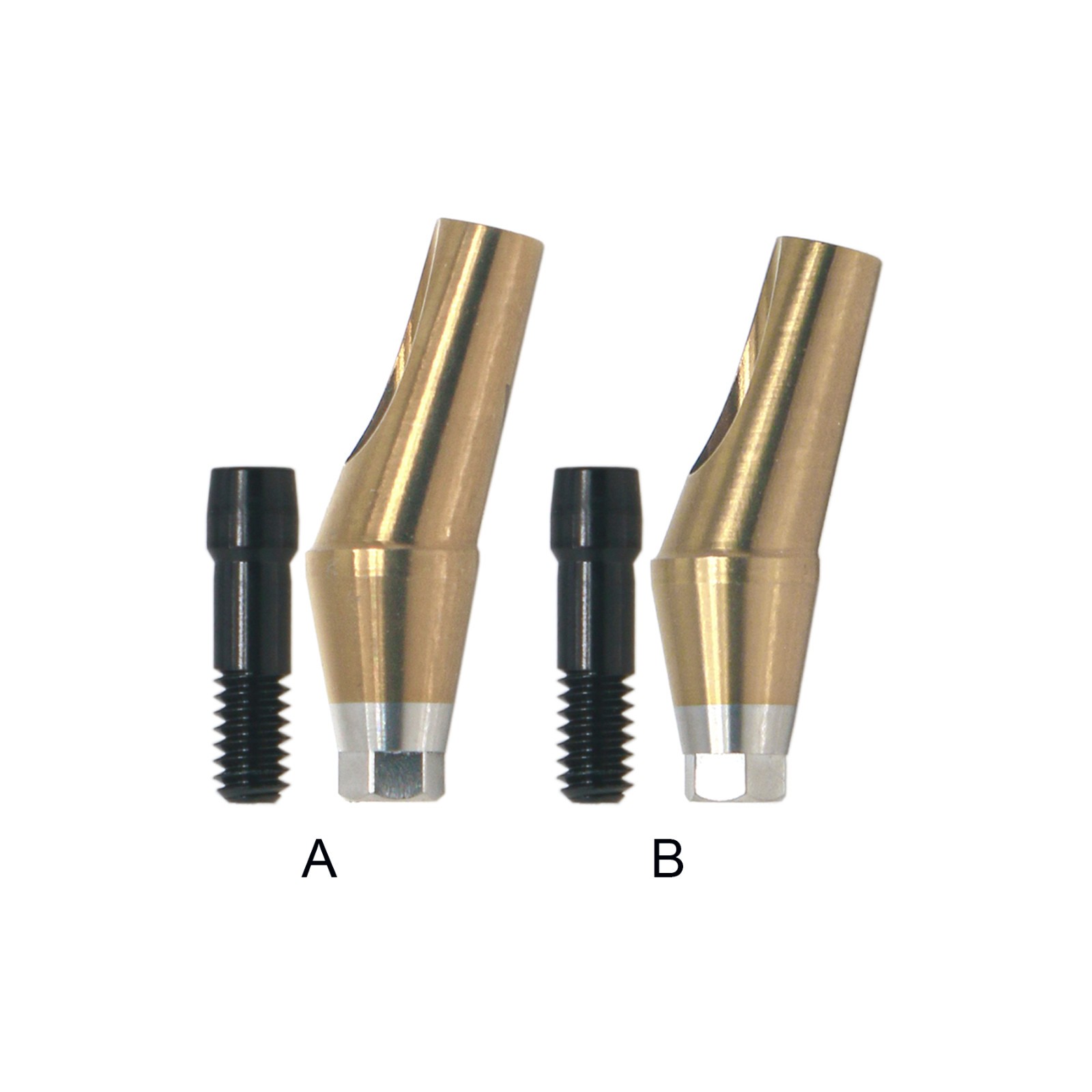 Regular 17°Angulated Angled Anatomic Abutment Osstem Hiossen Implants Ø4.5/5.0mm