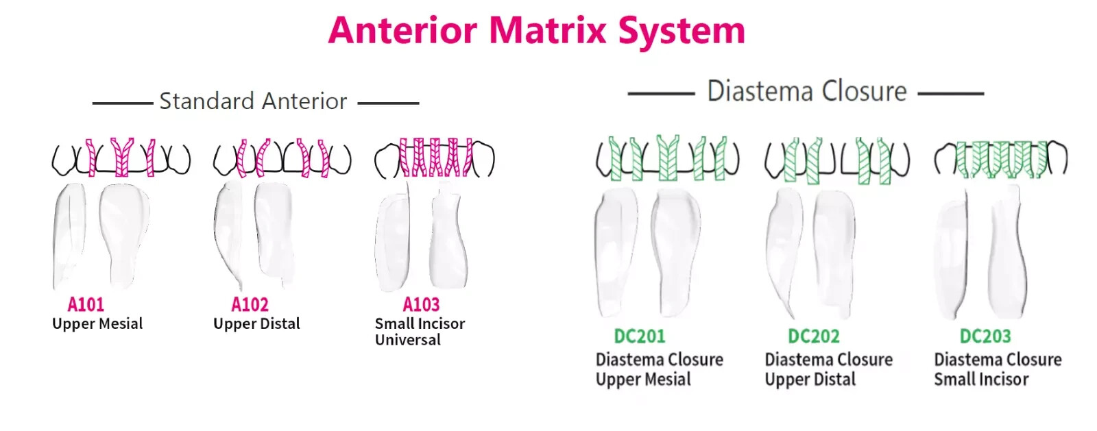 BioClear Anterior Matrix Refills Pack of 12 pcs Dental Material