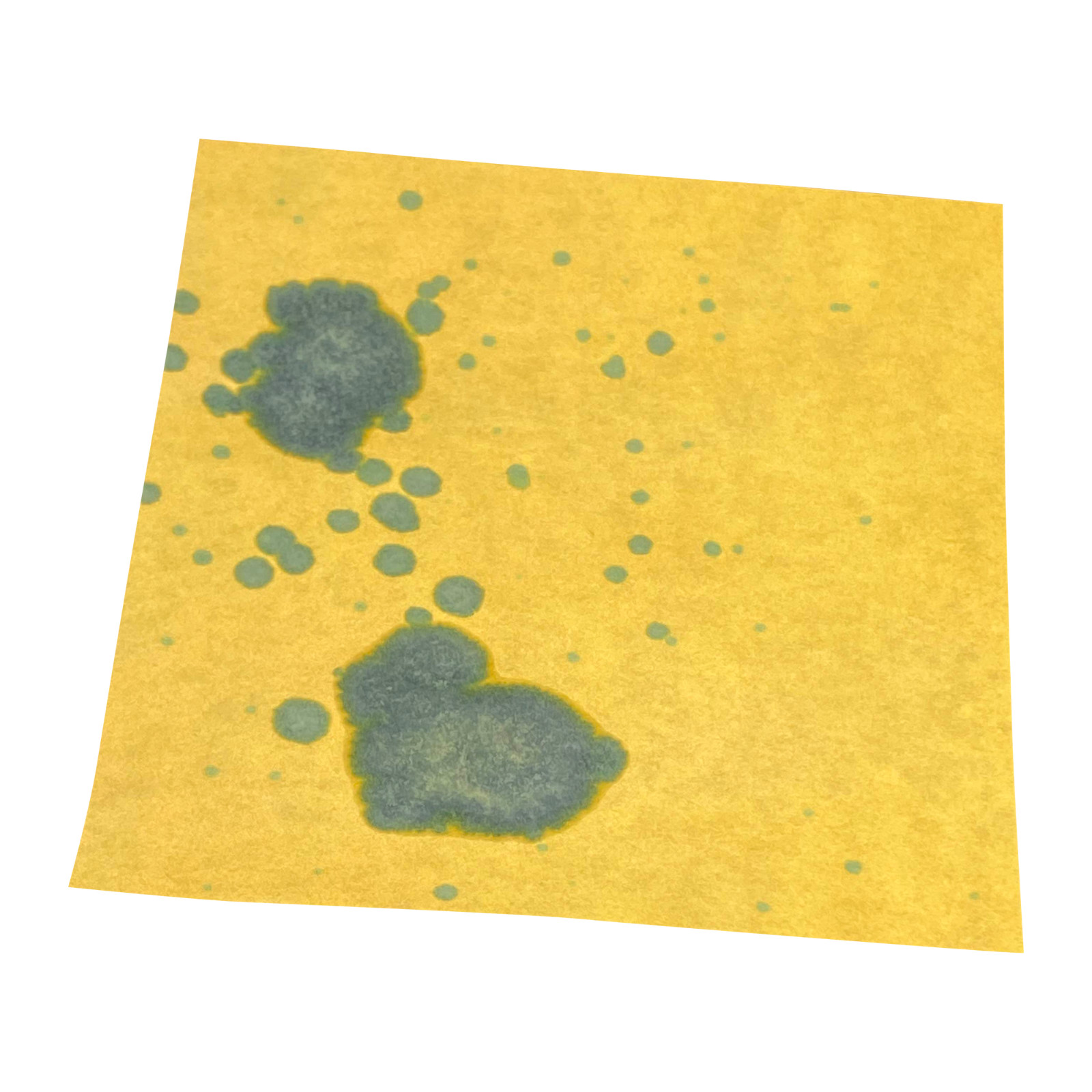 Universal pH Indicator 8×10″ Paper [24 Sheets] for Leak Detection