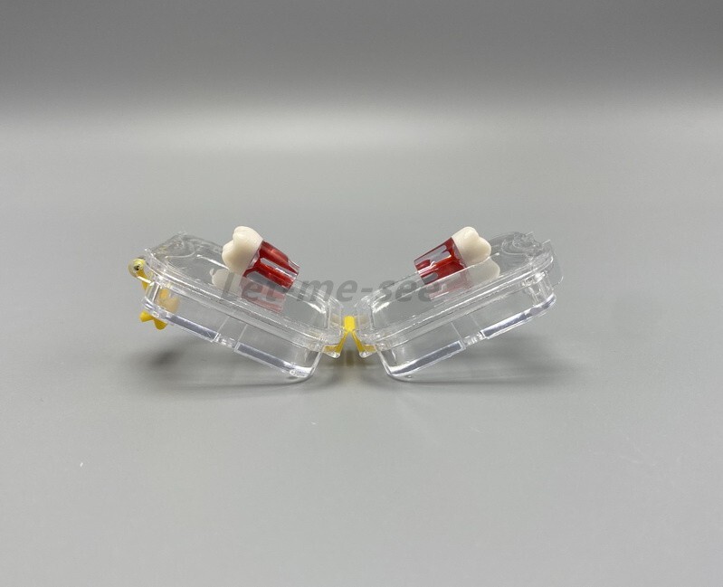 20x Dental Box Hinged Display Boxes Display Clear Membrane Case 45*45*25mm/small