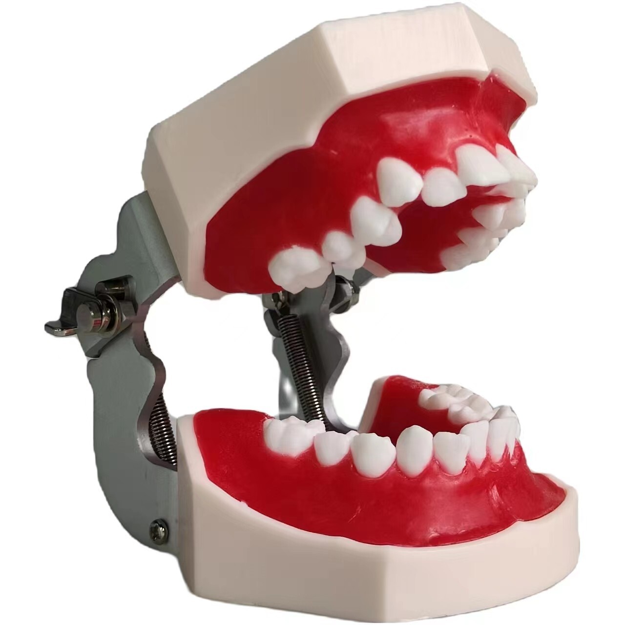 New Reusable Dental Practical Training Model/typodont/orthodontics Wax Model
