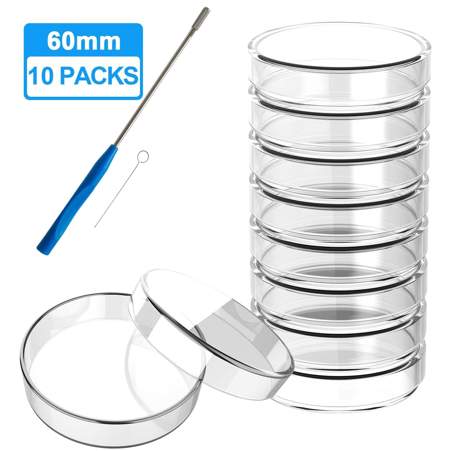 10/50/100x 60mm Glass Petri Dishes w/Lids Autoclavable Lab Petri Plates Reusable