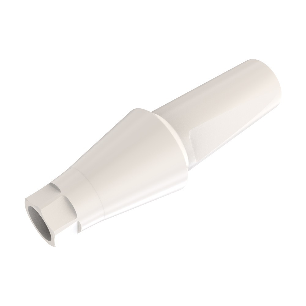 10pcs DSl Straight Abutments Anatomic Peek Conical Connection RP Dental Lab