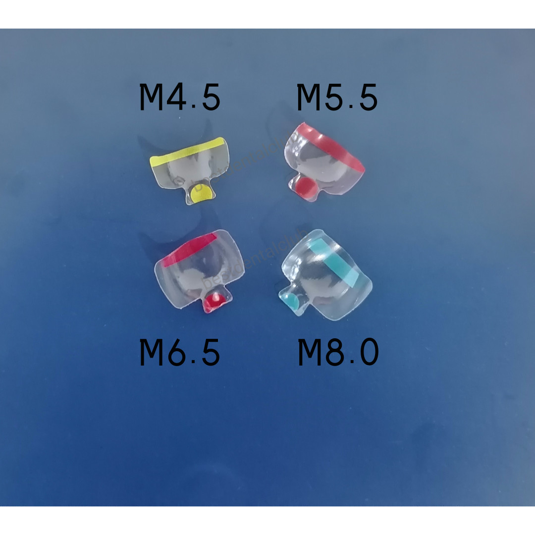 100Pcs Dental Posterior Transparent Clear Matrix Fits Bioclear BT 4 sizes