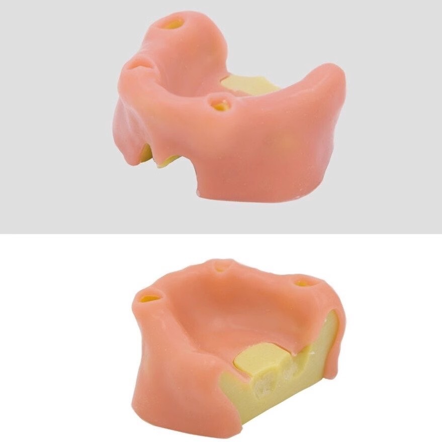 Dental Maxillary Sinus Lift Model Typodont Practice Model TYPE A/B