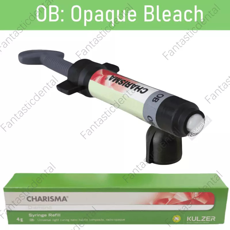 Dental KULZER CHARISMA Diamond OB Light Cure Composite Resin BL BXL Super White