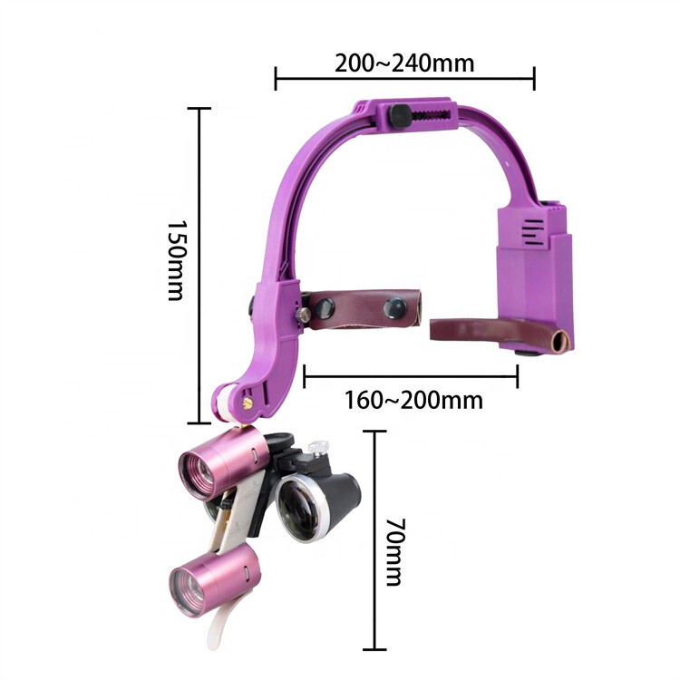 Dental Headband 5W LED Head Light 2 Leds with 3.5X Binocular Loupes + Box Purple