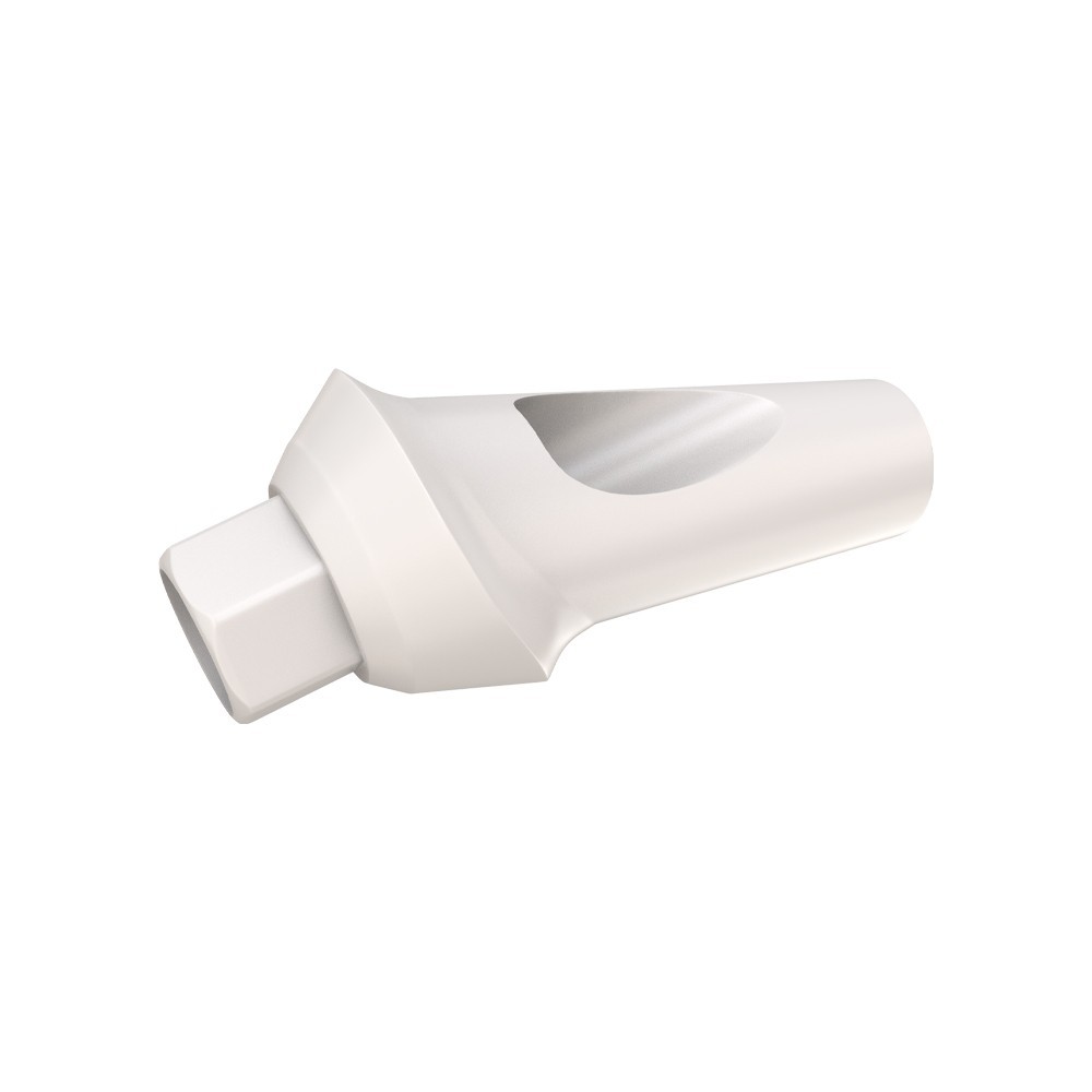 1pcs DSl Angulated Adapter Head Anatomic Peek With Screw 25° Int Hex