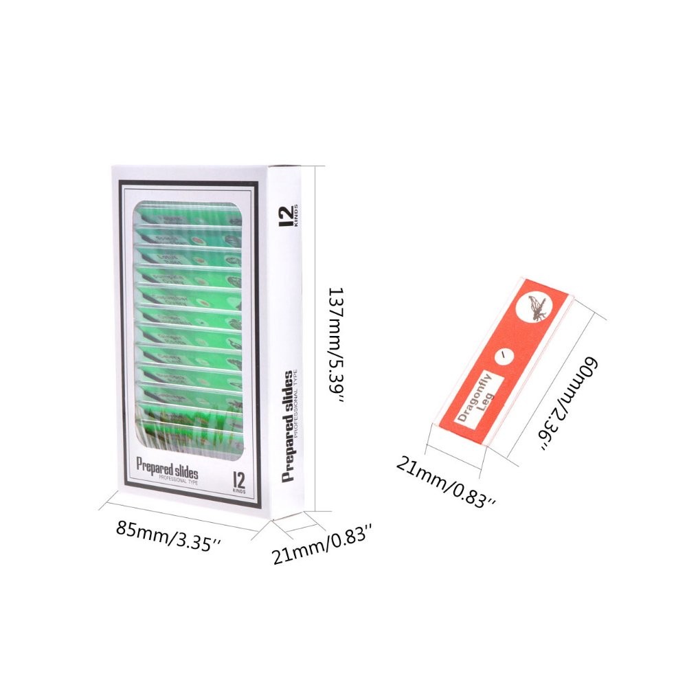 Jiusion 60Pcs Prepared Microscope Slides 60Pcs, Blue,Green,Red,Yellow,Purple