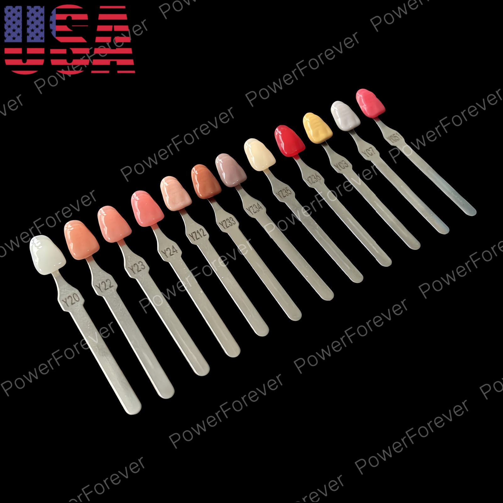 Dental 3D Gum A-D Shade Guide Pink Gingiva Aesthetic Composite Resin Restoration