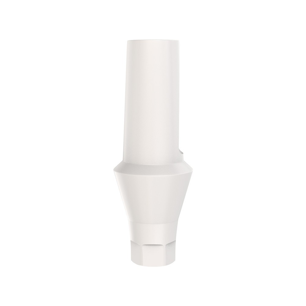 10pcs DSl Straight Abutments Anatomic Peek Conical Connection RP Dental Lab