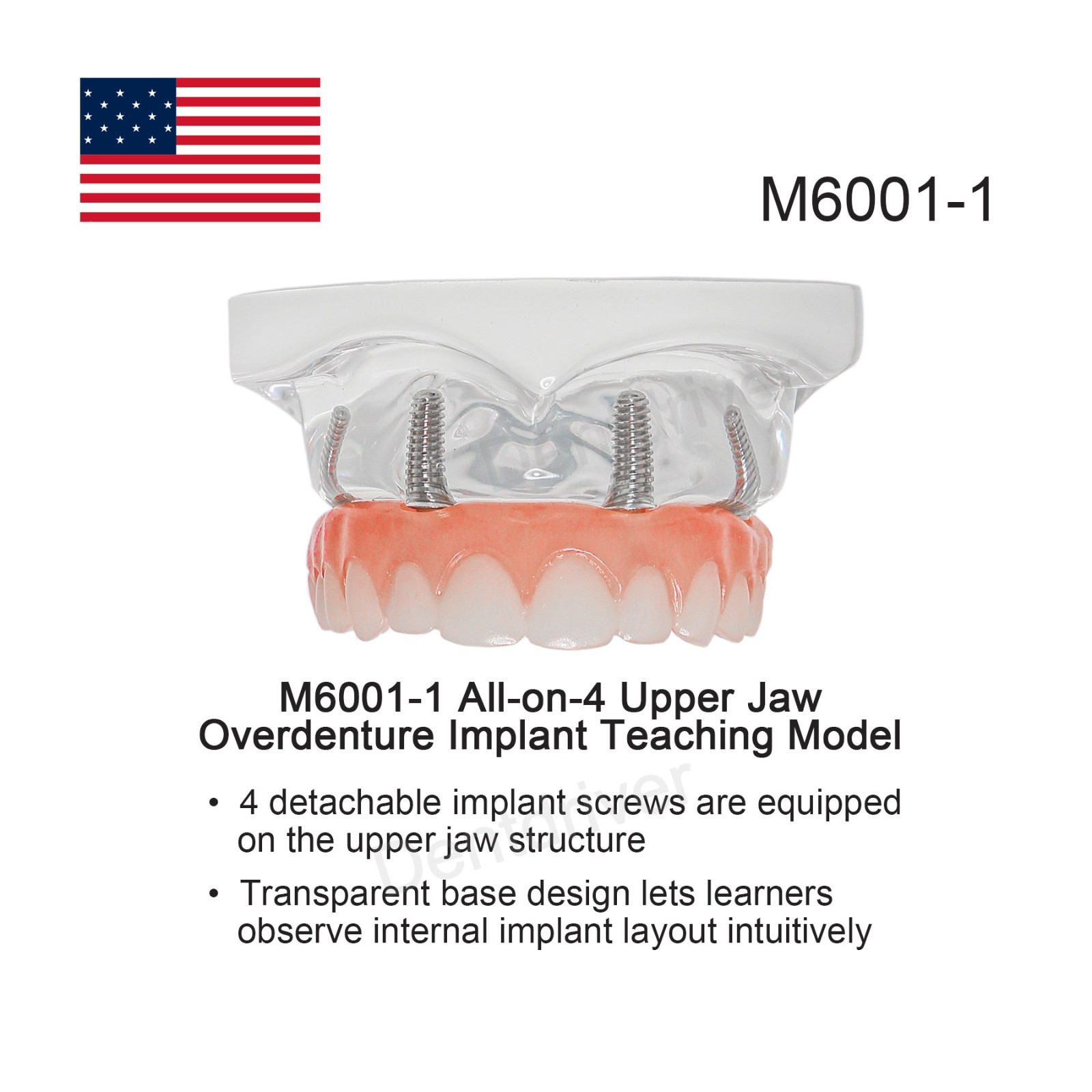 US M60 All-on-4 Combo Typodont M6001-1 Maxillary M6027 Mandibular Set