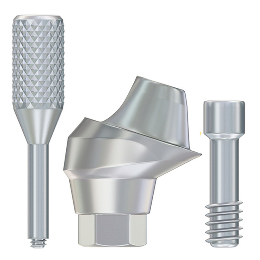 10x Dental Oss tem TS Compatible Multi Angulated Prosthetic 17° Regular 2.5mm