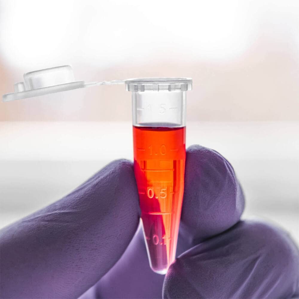 BKMAMLAB 1.5ml Microcentrifuge Tubes 500pcs, EO Sterile 500pcs