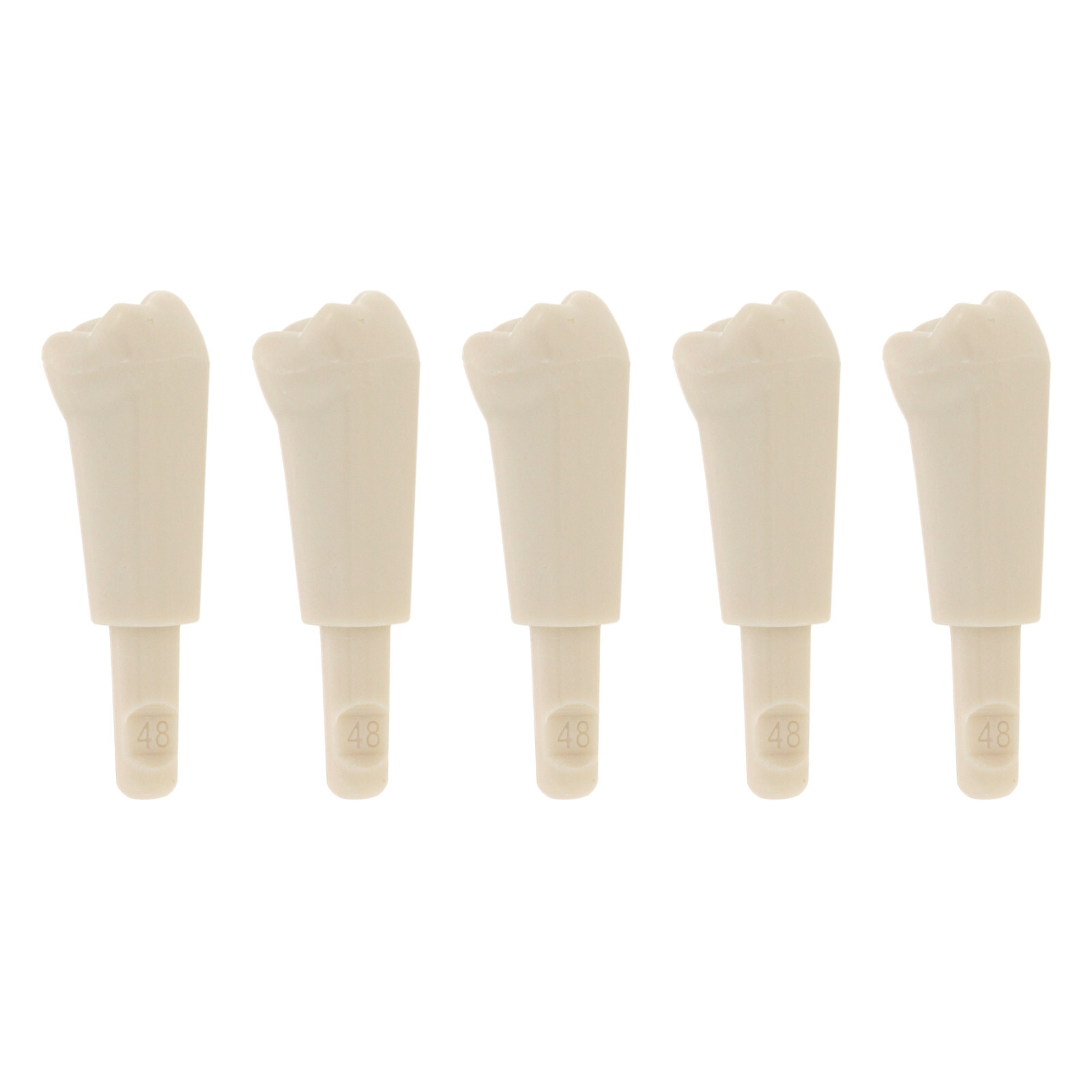 32Pcs Dental Tooth Model for KaVo Basic Model Teeth Retention Mechanism
