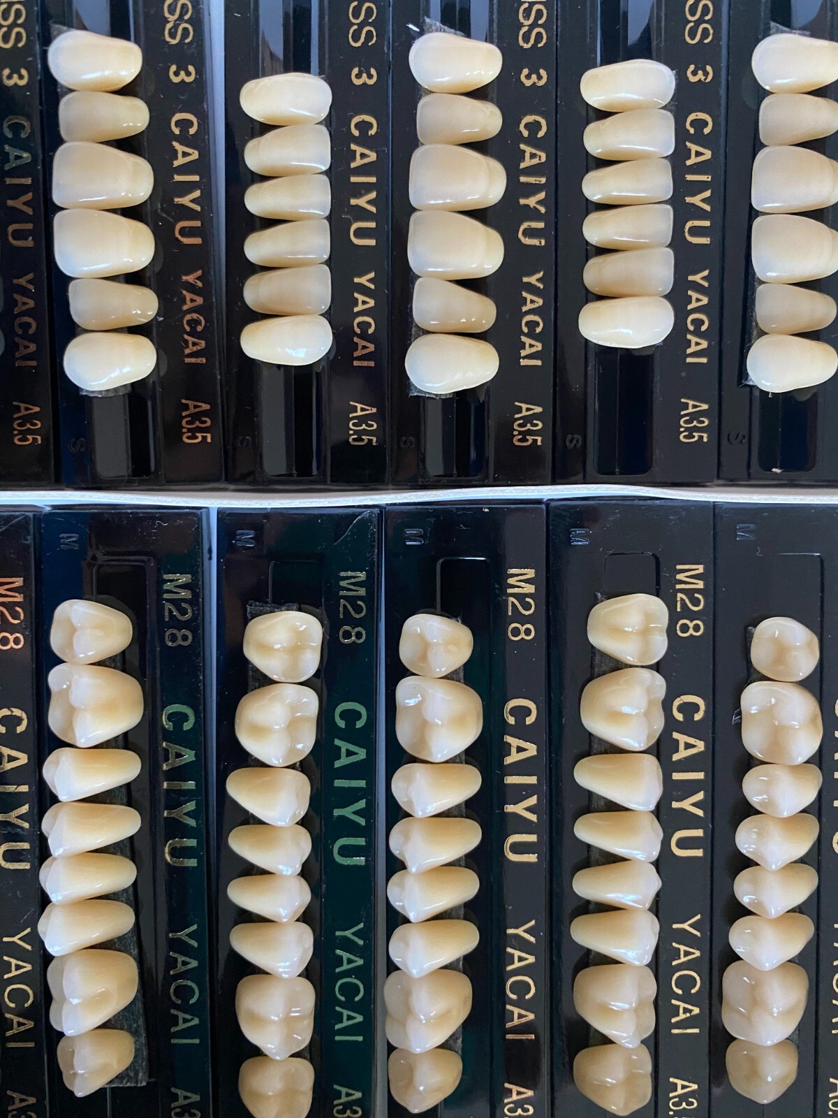 3 Complete Sets Acrylic Denture Teeth A1 A2 A3 A3.5 S M L X-L 84 In BOX