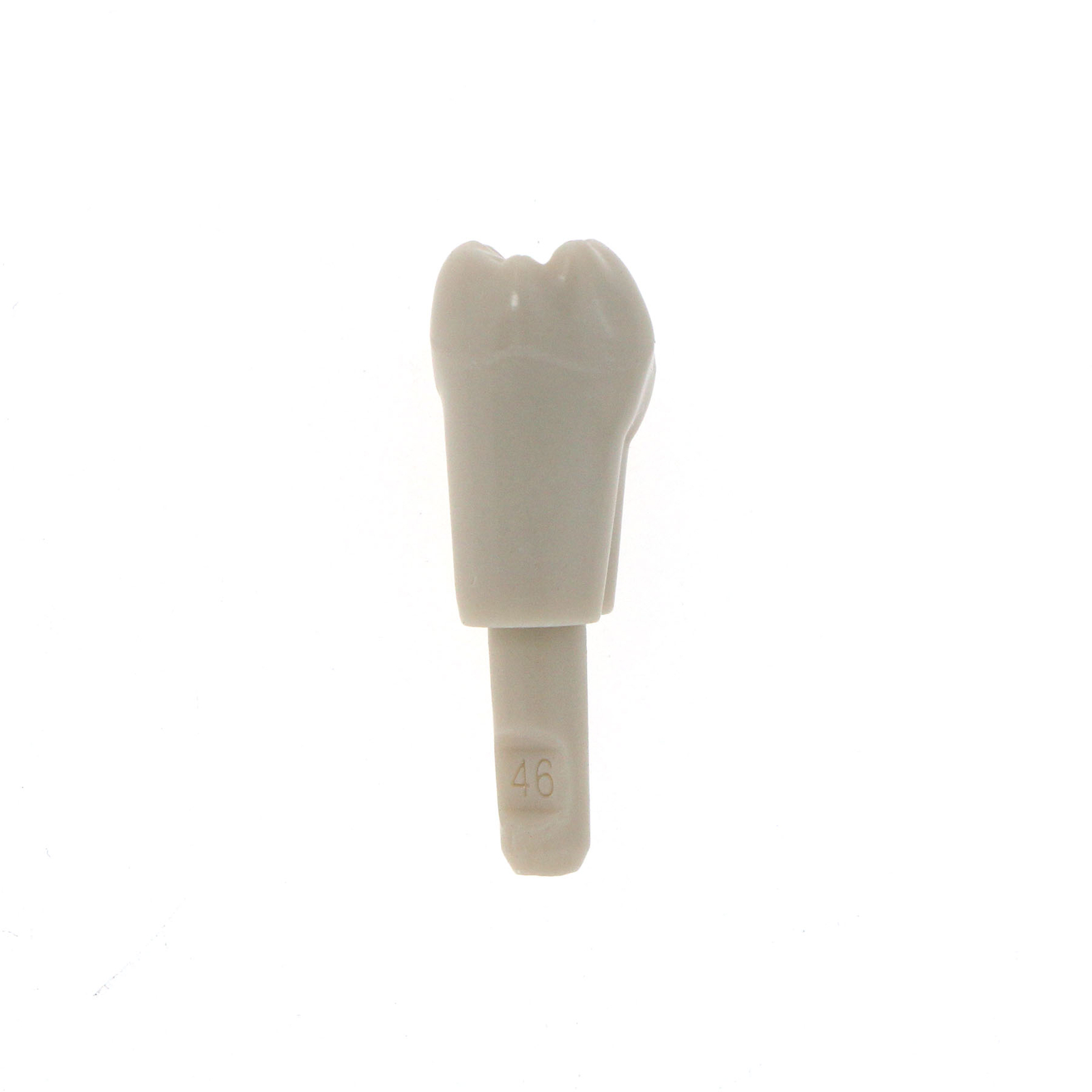 Dental Tooth Model for KaVo Basic Model Spare teeth Retention Mechanism 32Pcs