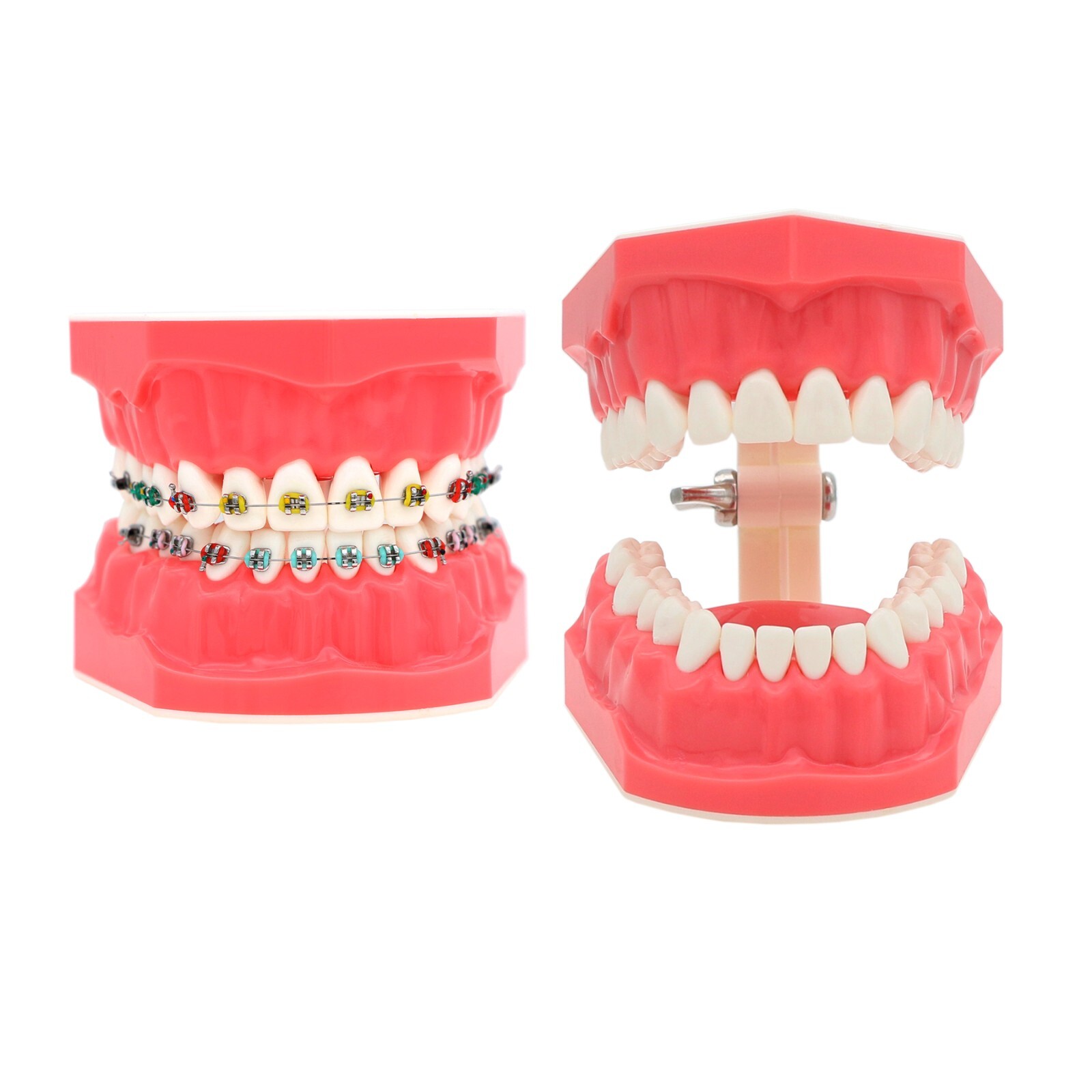 Multi Types Dental Typodont Teeth Model Implant Pathological Perio Practice Demo