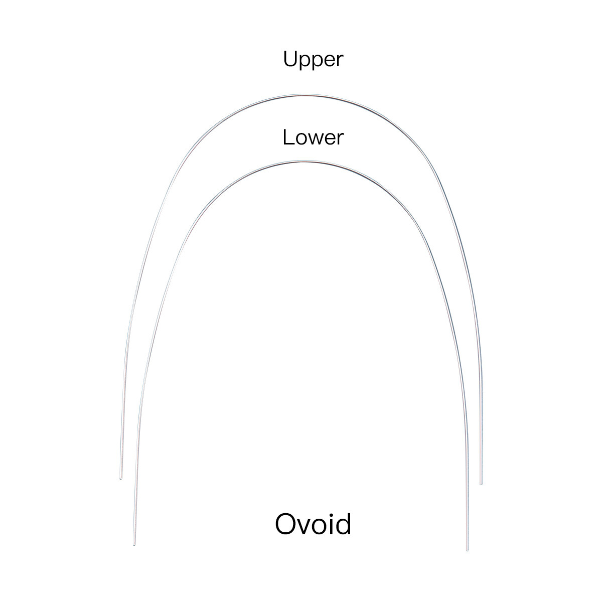 Dental Orthodontic Brackets Braces/Super Elastic Niti Arch Wire Ovoid Form