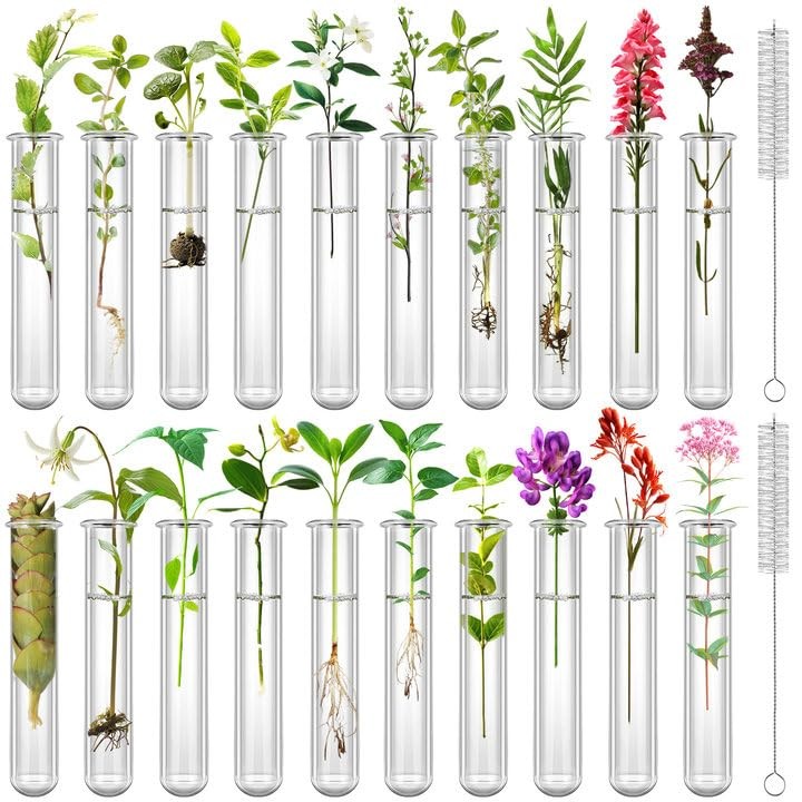 20 PCS Clear Test Tubes Plant Propagation 20ml Scientific Experiments Decor