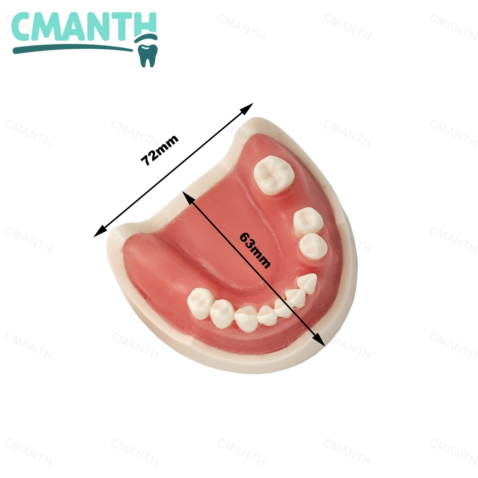 US Dental Implant Model Soft Gums Model Drilling Training Open Suture Practice