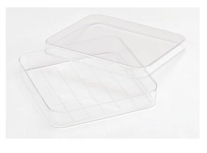 (500/Cs) FISHERBRAND 100mm x 100mm PS Square Petri Dishes w/ Grid FB0875711A