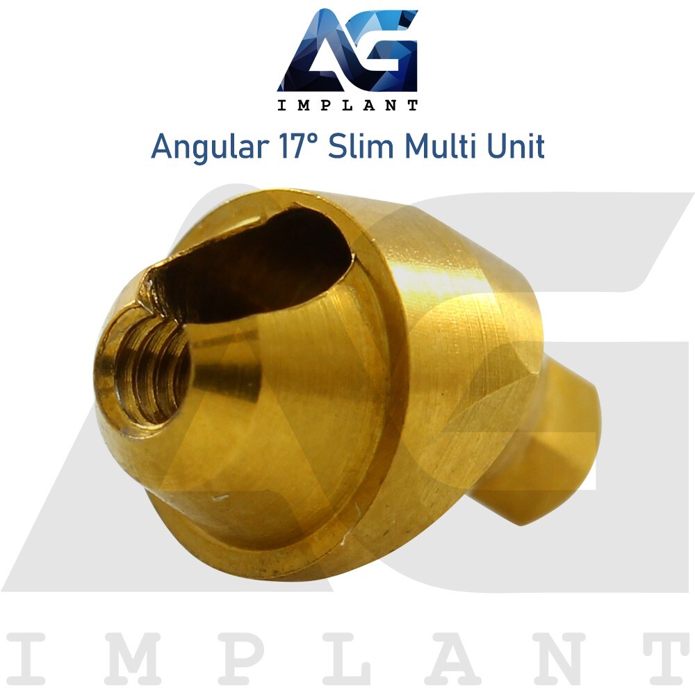 10 Angular Slim Multi Unit 1.6 Prosthetic 17° Int Hex Titanium With Screw