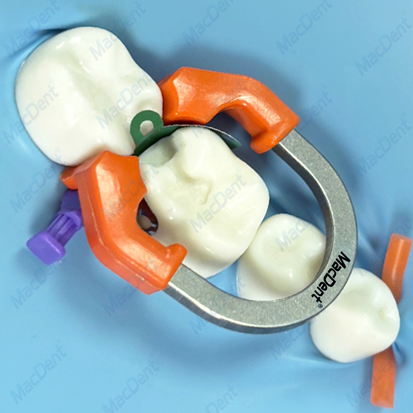 Dental Matrix Bands Ring Sectional Matrice Clamp Wedges Fit Palodent V3 System