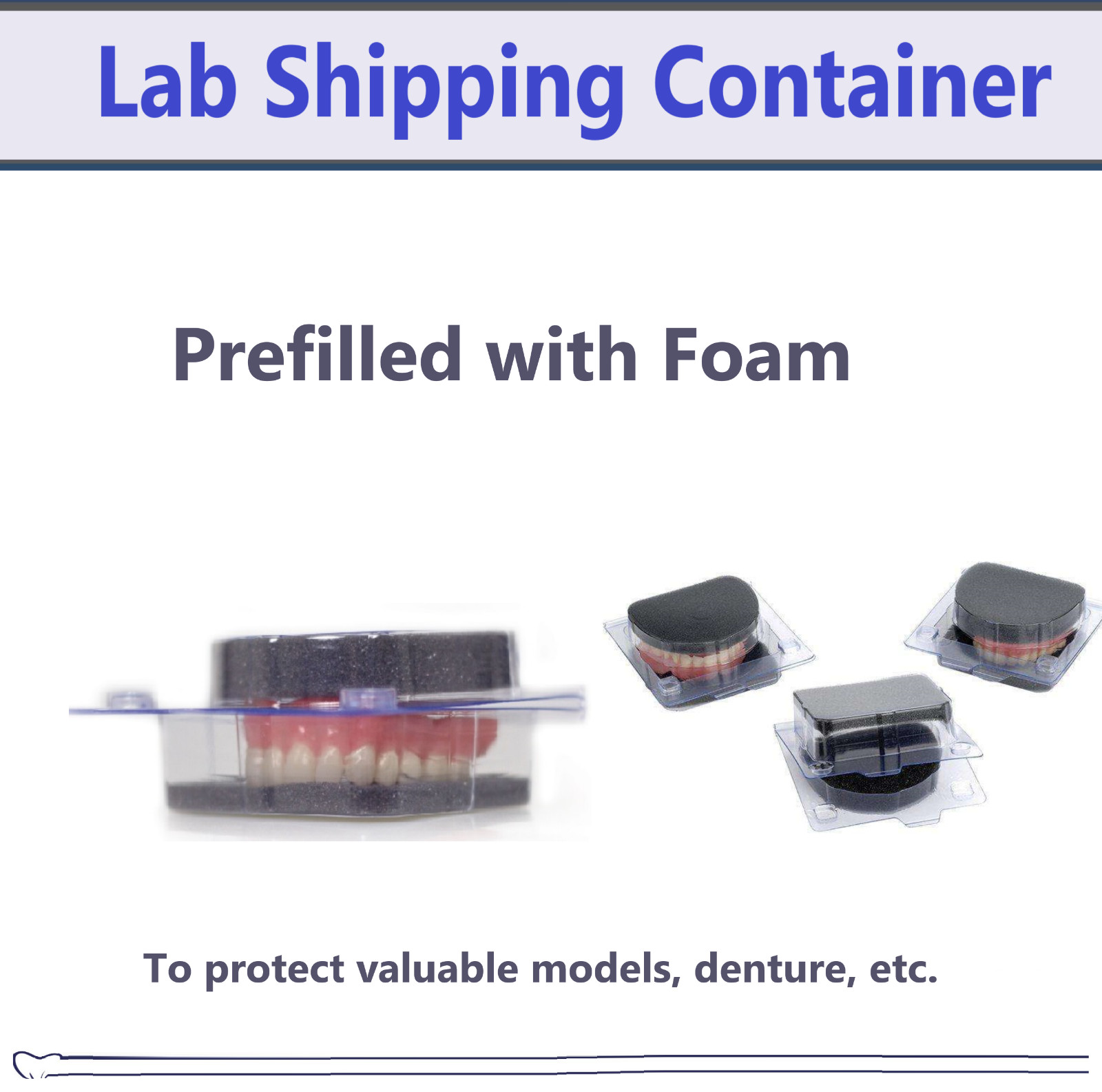 Dental Model & Denture Box, Clear Plastic w/Sponge, Ortho Model Shipping Box USA