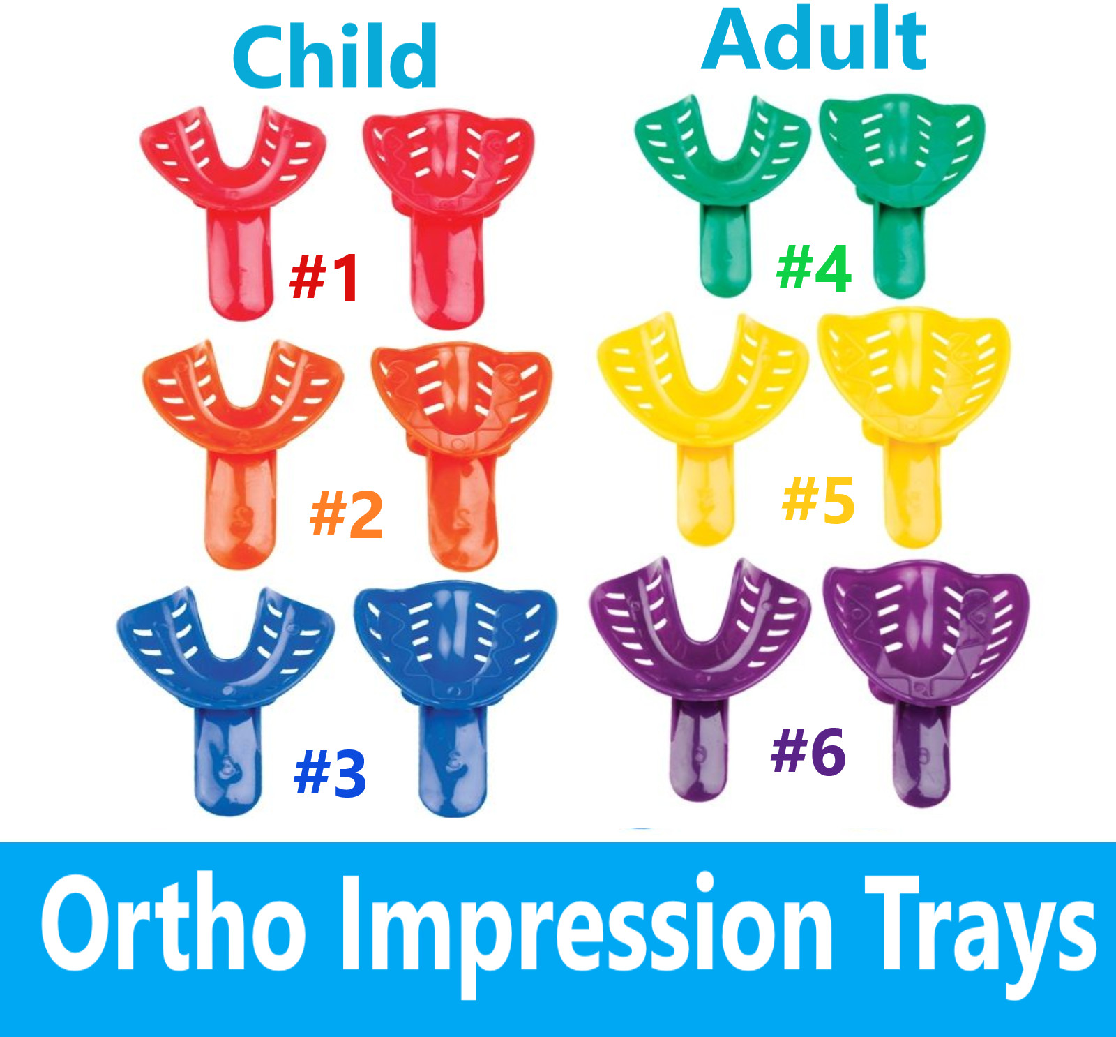 Dental Ortho Impression Trays Perforated Disposable For Child/Pedo Adult 12/bag