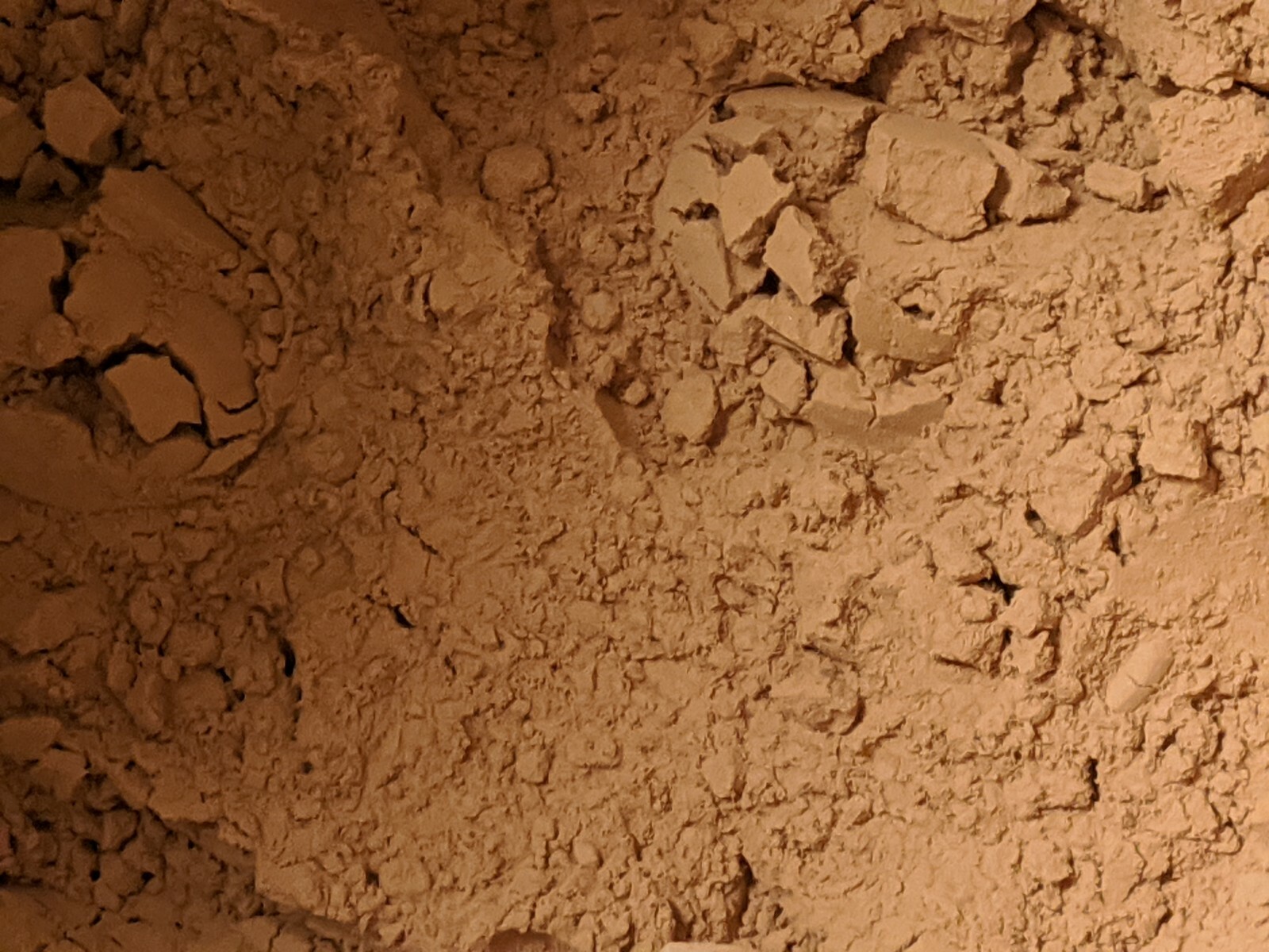 Tannic Acid – 1 Pound