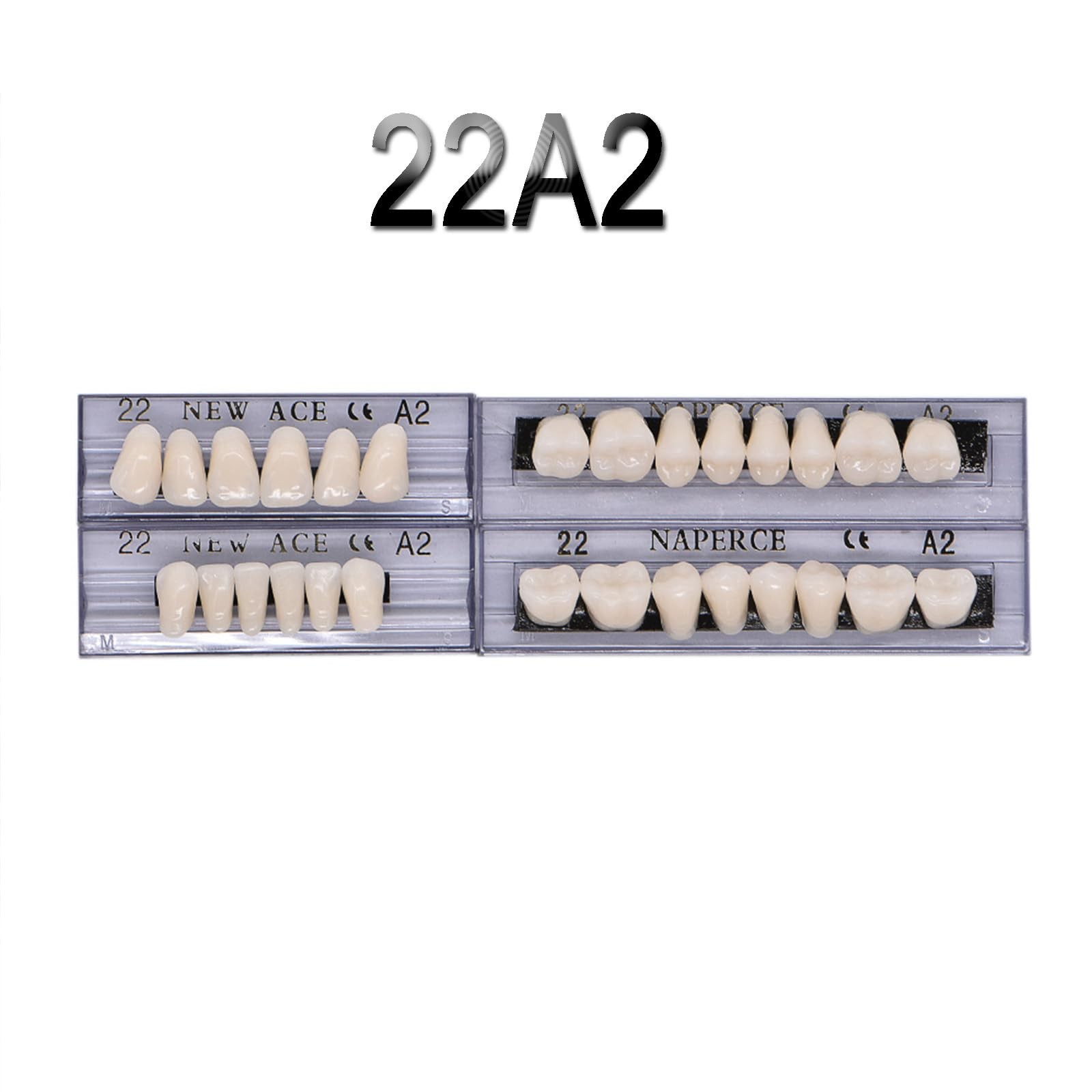 LVDXVG False Teeth Fake Model, 168pcs Upper and 168 pieces, White