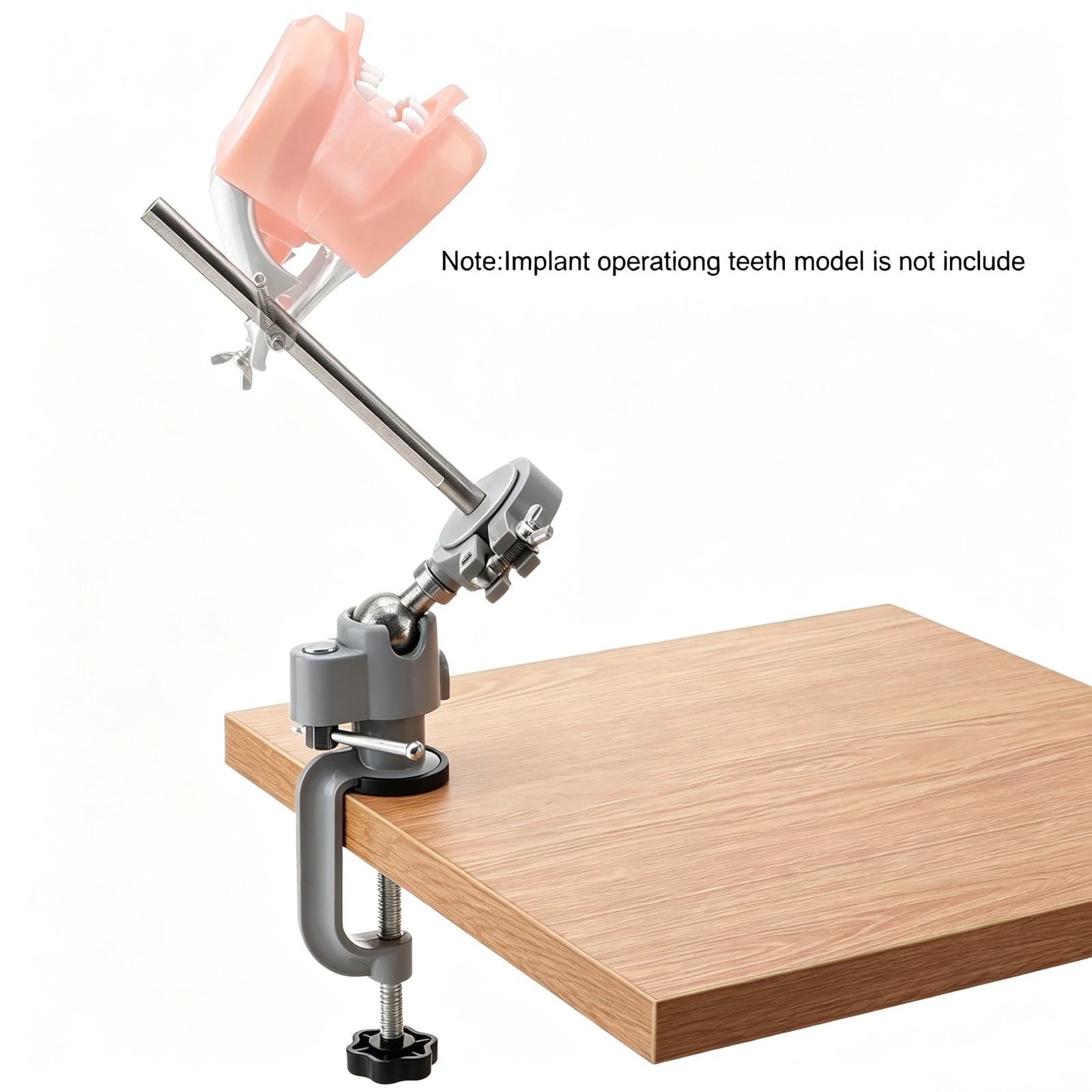 Typodont mounting pole 360° Rotating Stand Fits Columbia Kilgore Nissin Frasaco