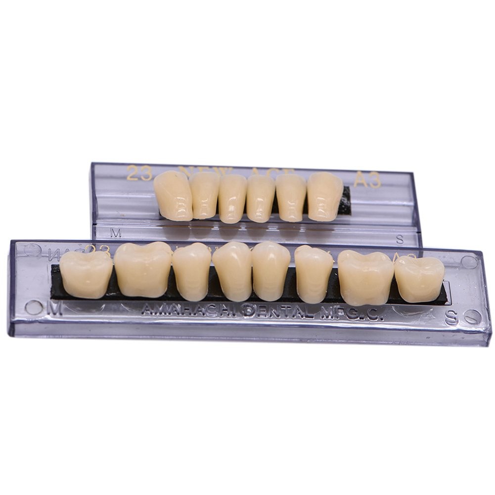 LVDXVG False Teeth Fake Model, 168pcs Upper and 168 pieces, White
