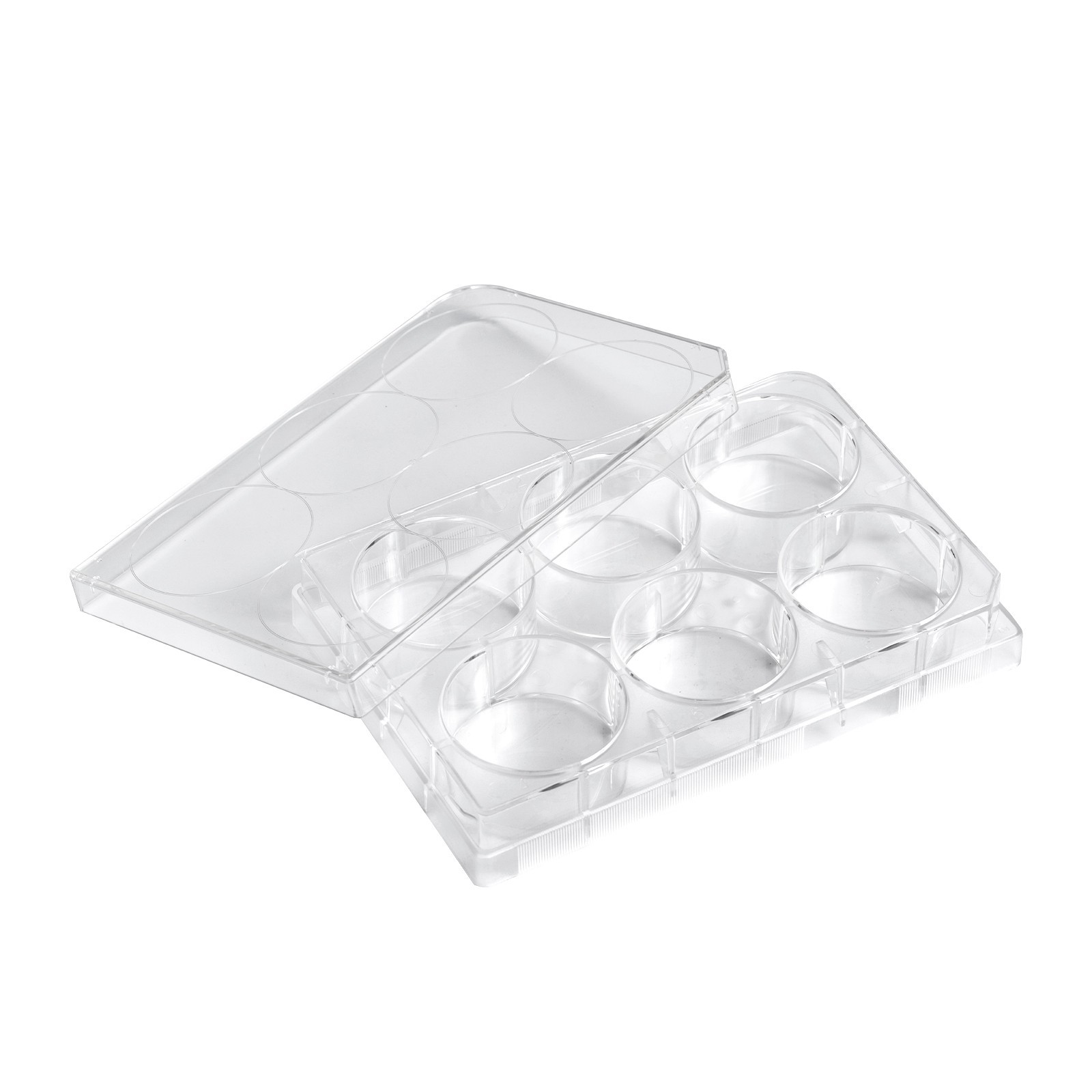 6-Well Polystyrene Cell Culture Plates with Lids, Individual Wrapped Plates, Ste