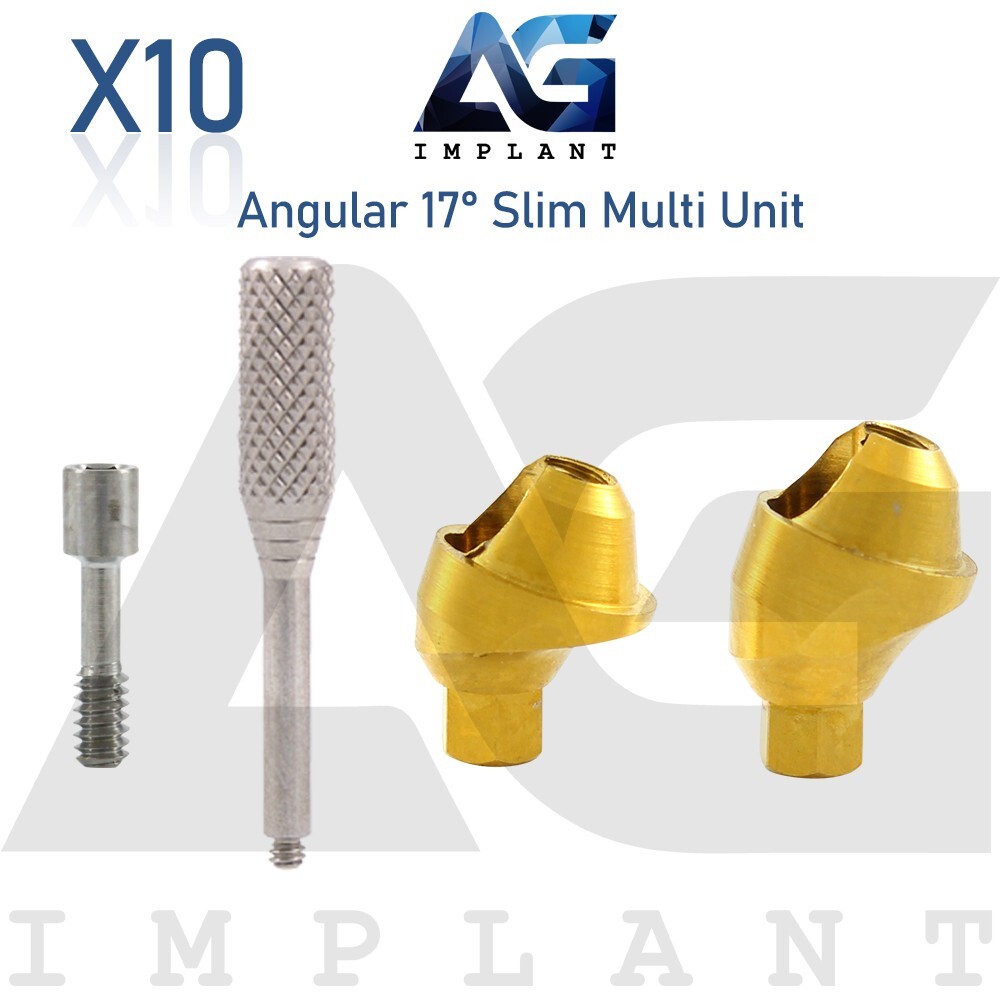 10 Angular Slim Multi Unit 1.6 Prosthetic 17° Int Hex Titanium With Screw