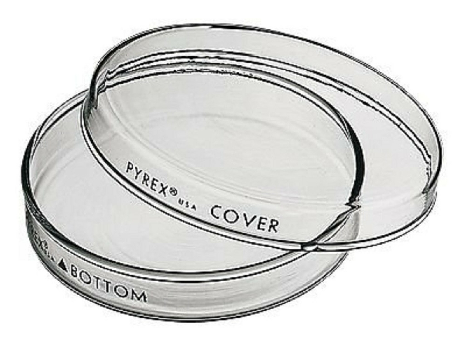 PYREX 3160-101, 100×15 mm Petri Dish with Cover (Pack of 12)