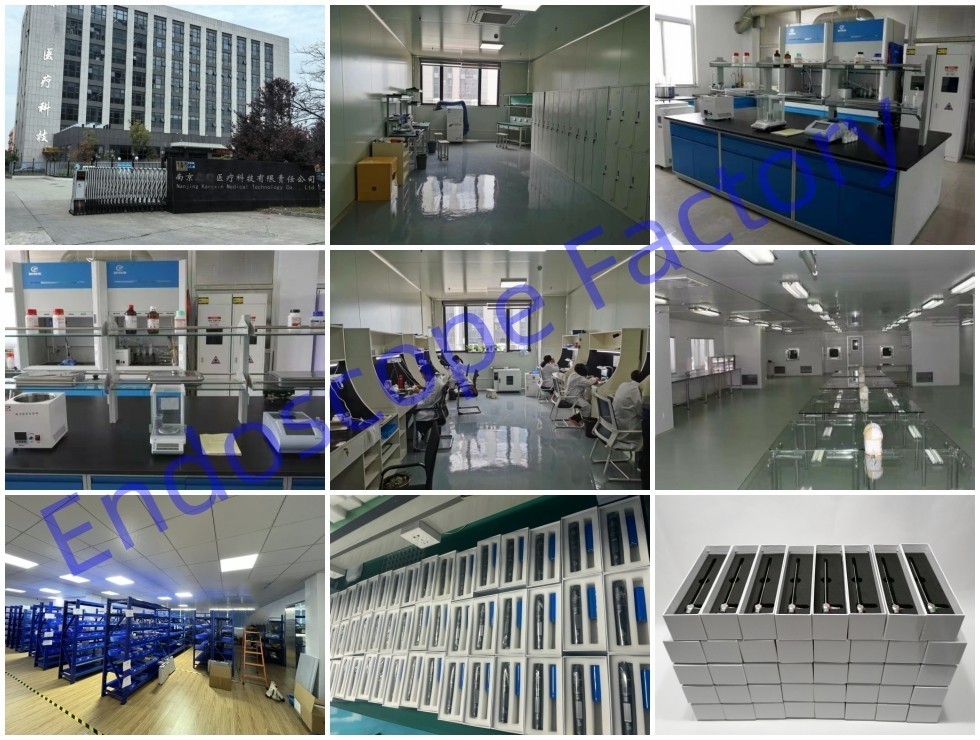 Medical Endoscope Instruments Disinfection Sterilization Case Box Basket Cage
