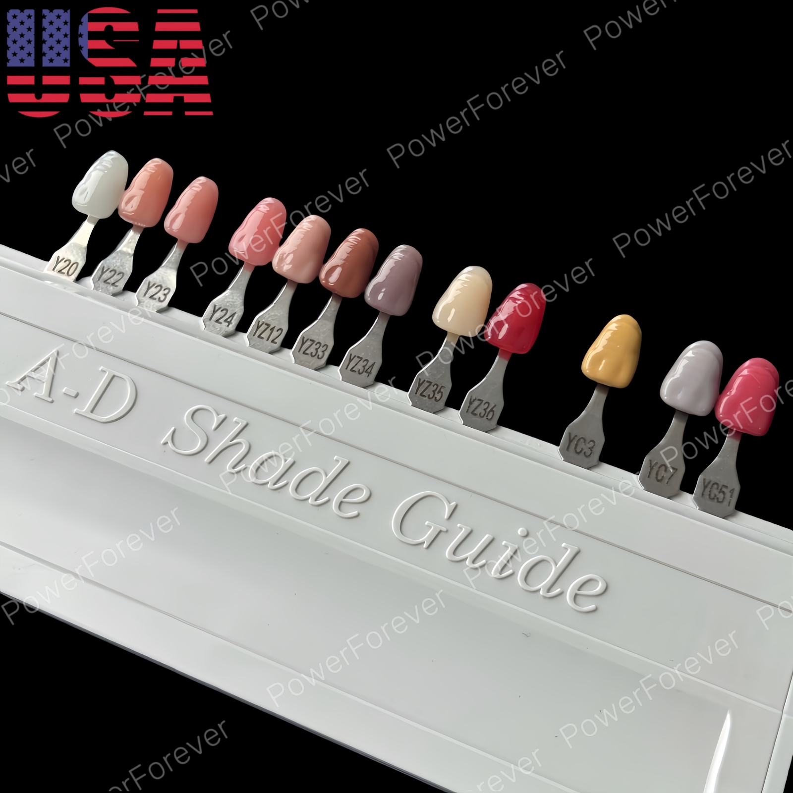 Dental 3D Gum A-D Shade Guide Pink Gingiva Aesthetic Composite Resin Restoration