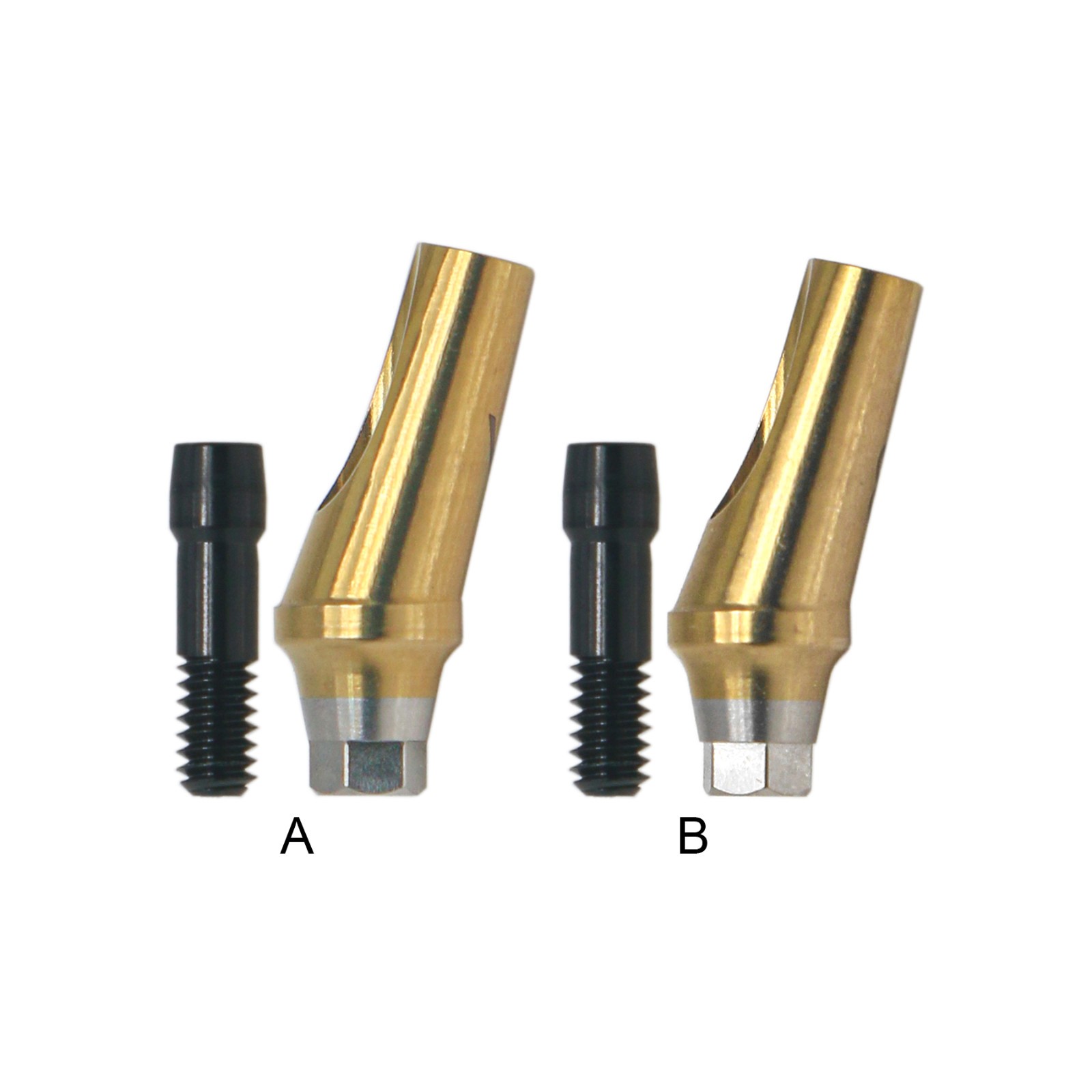 Regular 17°Angulated Angled Anatomic Abutment Osstem Hiossen Implants Ø4.5/5.0mm
