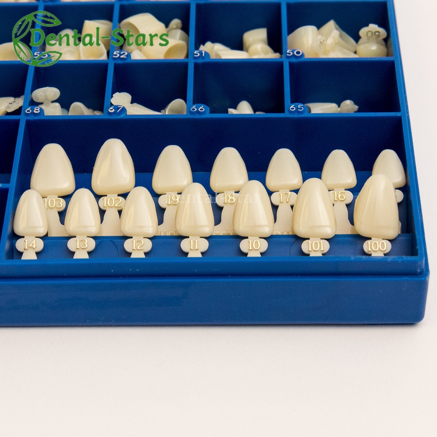 DENTAL POLYCARBONATE TEMPORARY CROWNS 390 PCS 66 SIZES WITH PAPER GUIDE CHART