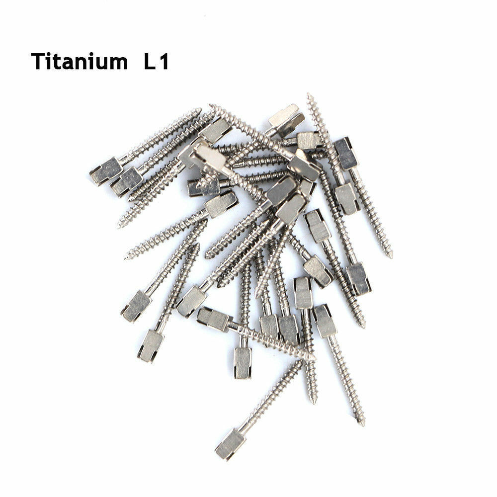 30Pcs Dental Conical Screw Posts Root Canal Pins Titanium Assorted All Size