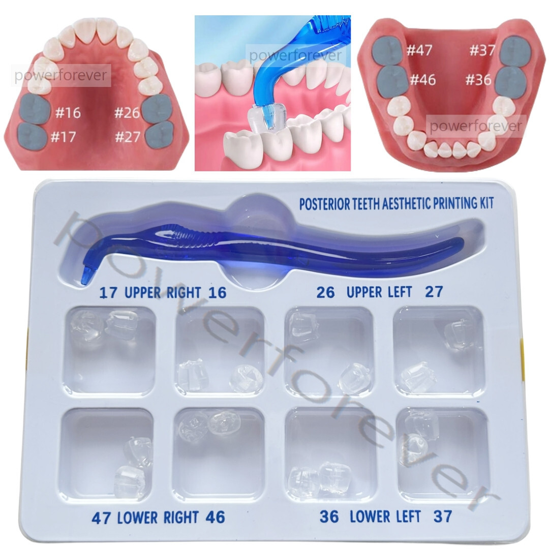 1 Kit Dental Aesthetic Printing Light Cure Composite Molar Resin Print Mould