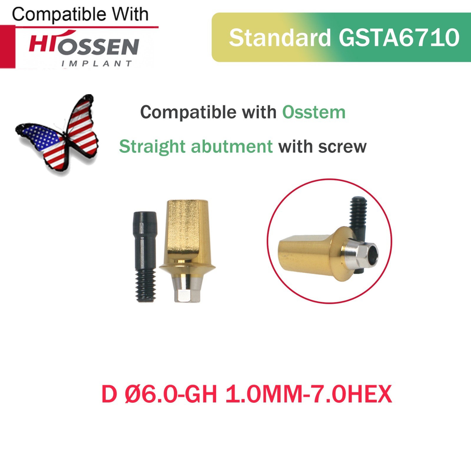US Dental Straight Transfer Abutment Regular Ø6.0 mm Hex GH 1–6 mm Hiossen ET