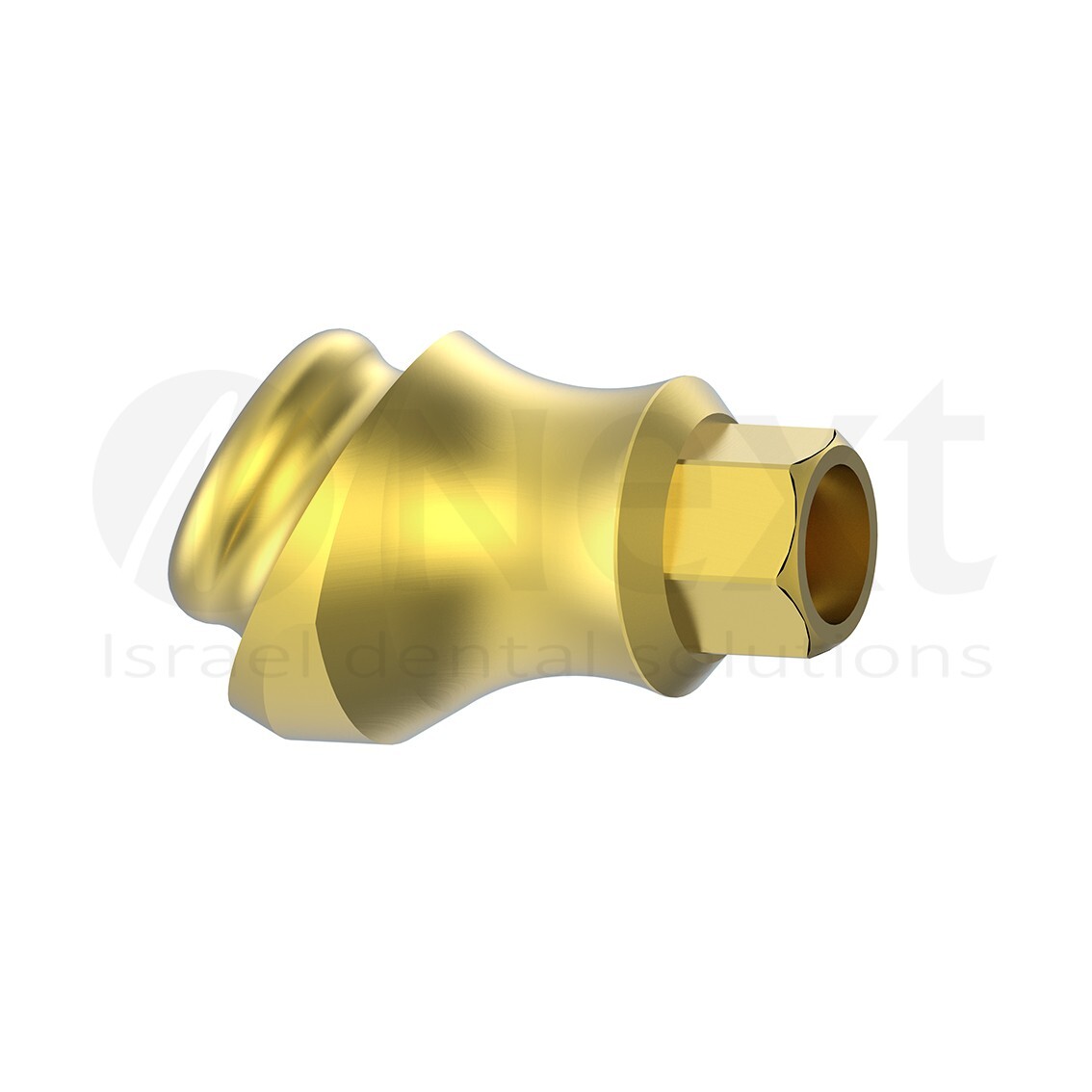 LOTx5 Angulated 30 deg Flat abutment 1-3 mm internal hex with screw