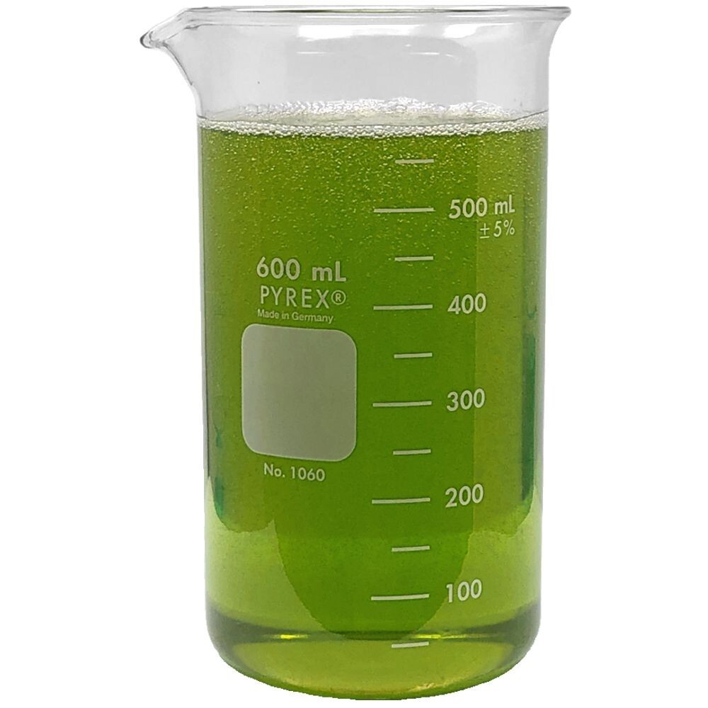 Pyrex Beakers, Tall Form Berzelius, with Spout, Graduated, 600mL, 3/pk